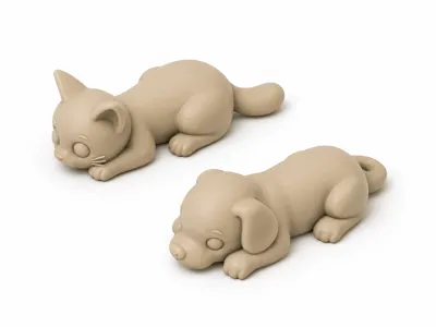Dog and Cat