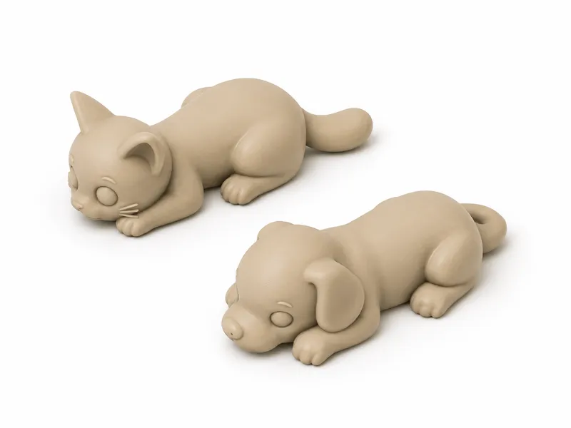 Dog and Cat