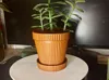 0.2mm layer, 3 walls, 0% infill