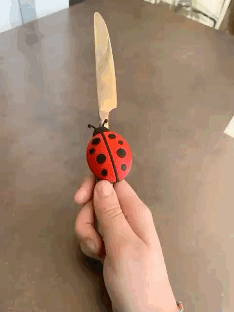 https://makerworld.bblmw.com/makerworld/model/US2ec88925896ae4/design/2024-10-24_fd144c67cd081.gif
