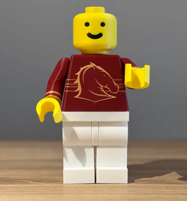 https://makerworld.bblmw.com/makerworld/model/US2ec9d67cbffcd/design/2024-11-30_8b47a9398396d.jpeg