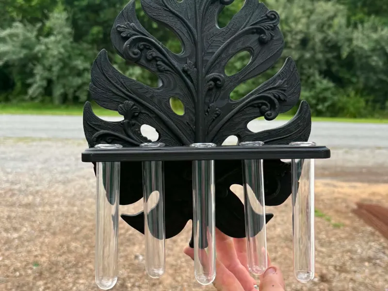 Victorian Monstera Leaf Propagation Shelf
