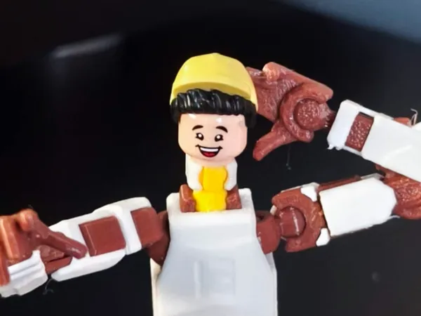 https://makerworld.bblmw.com/makerworld/model/US2ecce1982ea14c/design/2025-01-26_6d7d815c1db88.jpg