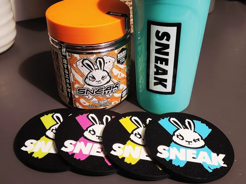 SNEAK Energy Coasters