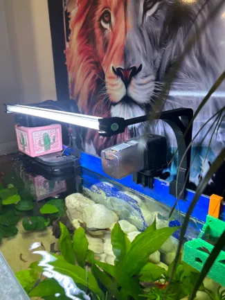 led aquarium suport