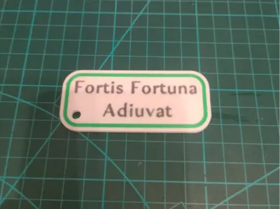 FORTIS FORTUNA ADIUVAT – Keychain Badge