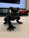 FROG AMS