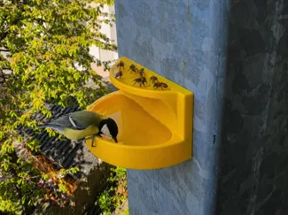 Insektentränke / Bienenbad / Vogeltränke