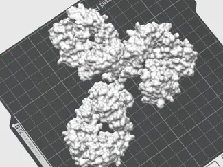 Space Model of Antibody from Crystal Structure
