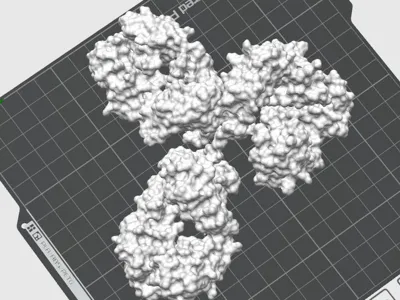 Space Model of Antibody from Crystal Structure