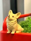 Cute Corgi—Multi-color