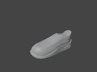 shoe