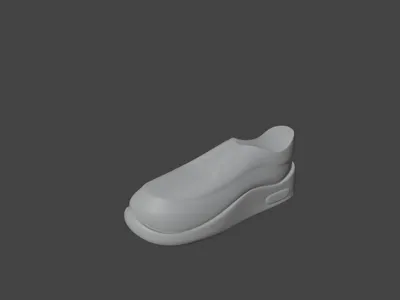 shoe