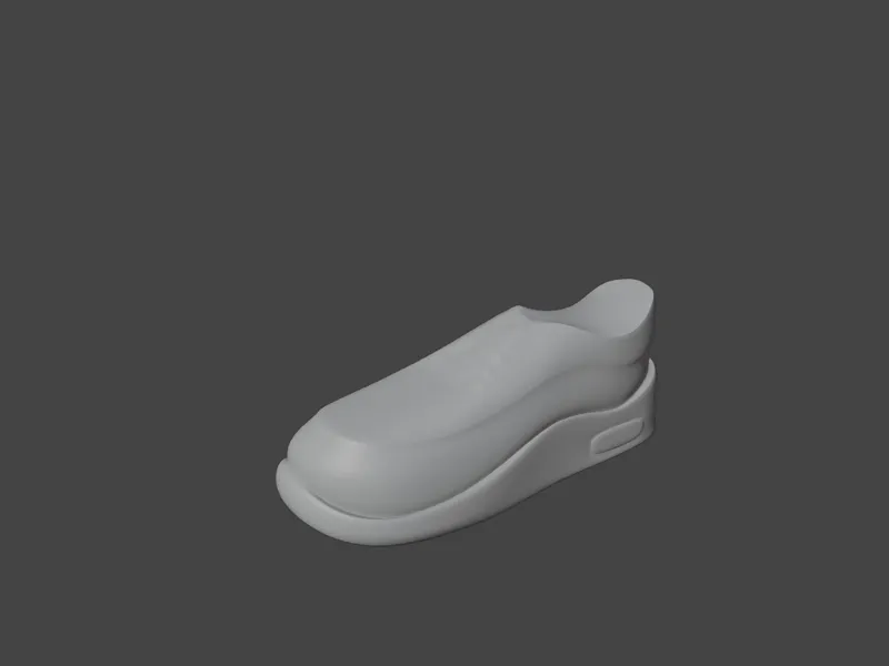 shoe