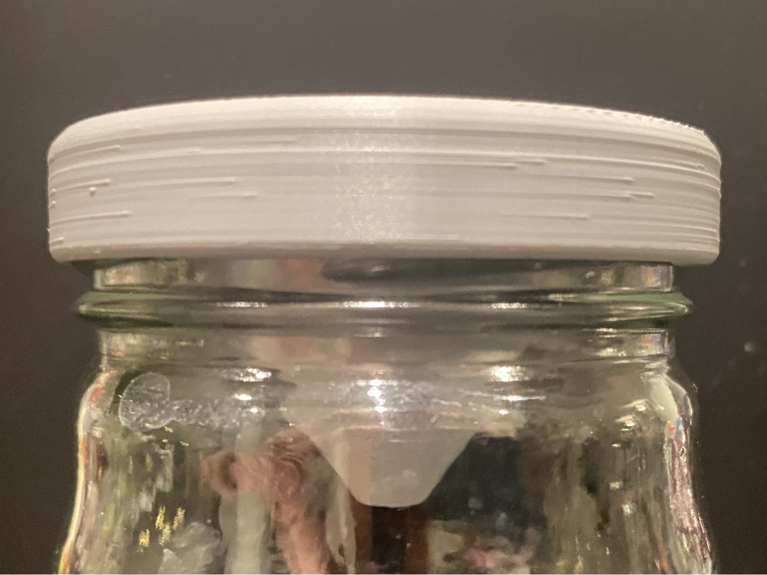 Fruit Fly Trap for European TO 58 Jar