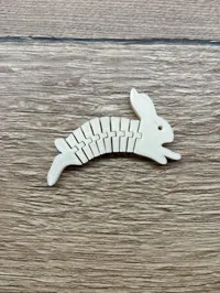 Lapin flexi qui sautille — photo 1