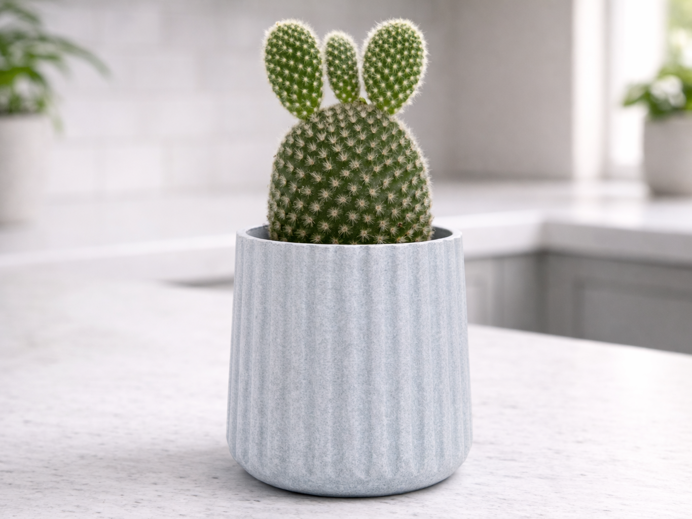 Modern Ribbed Plant Pot with Base - Planter