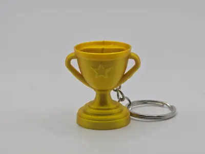 Mini Trophy Keychain (Remix)