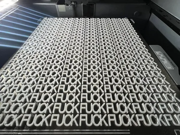 https://makerworld.bblmw.com/makerworld/model/US2ef942d6aec58b/design/72bca40f5321bdce.jpeg