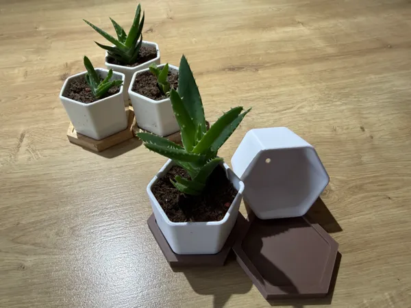 https://makerworld.bblmw.com/makerworld/model/US2efac078da13d/design/ce944f399c575659.jpeg