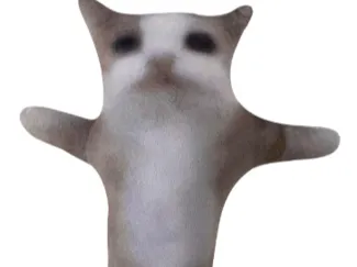 Happy Cat Flexi