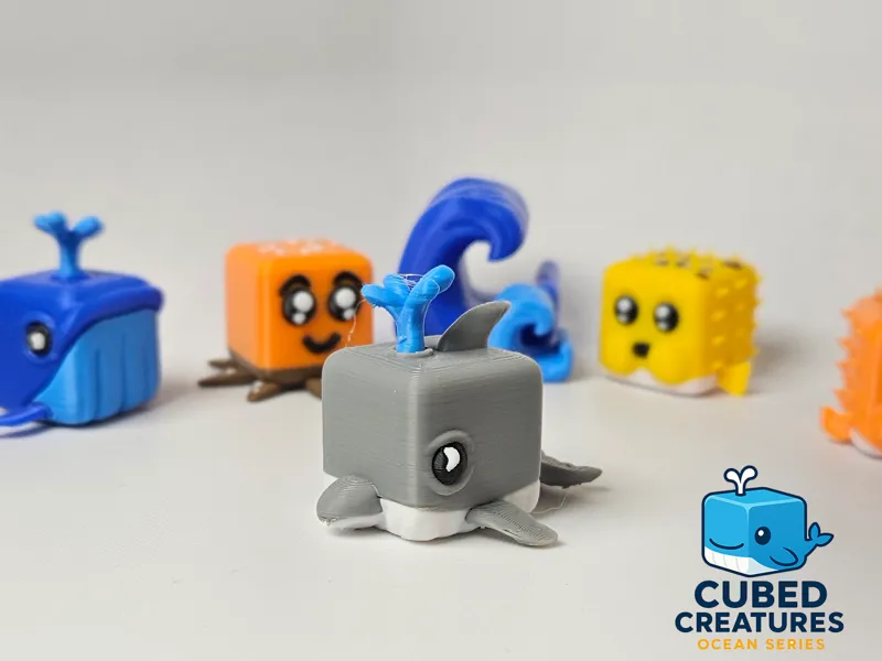 The Square Dolphin