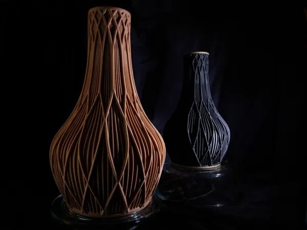 https://makerworld.bblmw.com/makerworld/model/US2efe95157559d3/design/2026-01-14_526c729636c708.jpg