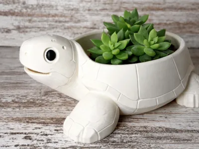 Cute Turtle Bowl 
