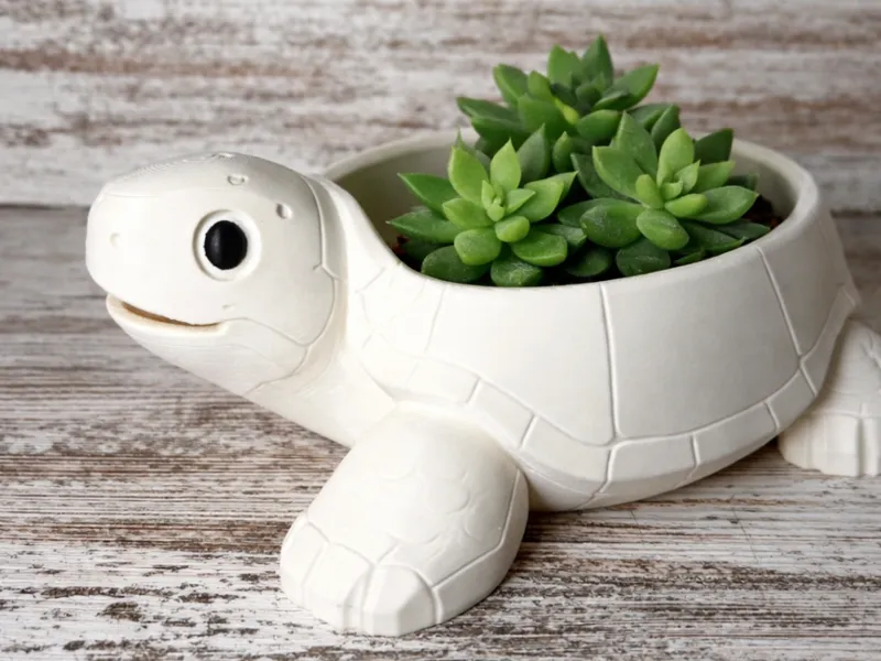 Cute Turtle Bowl 