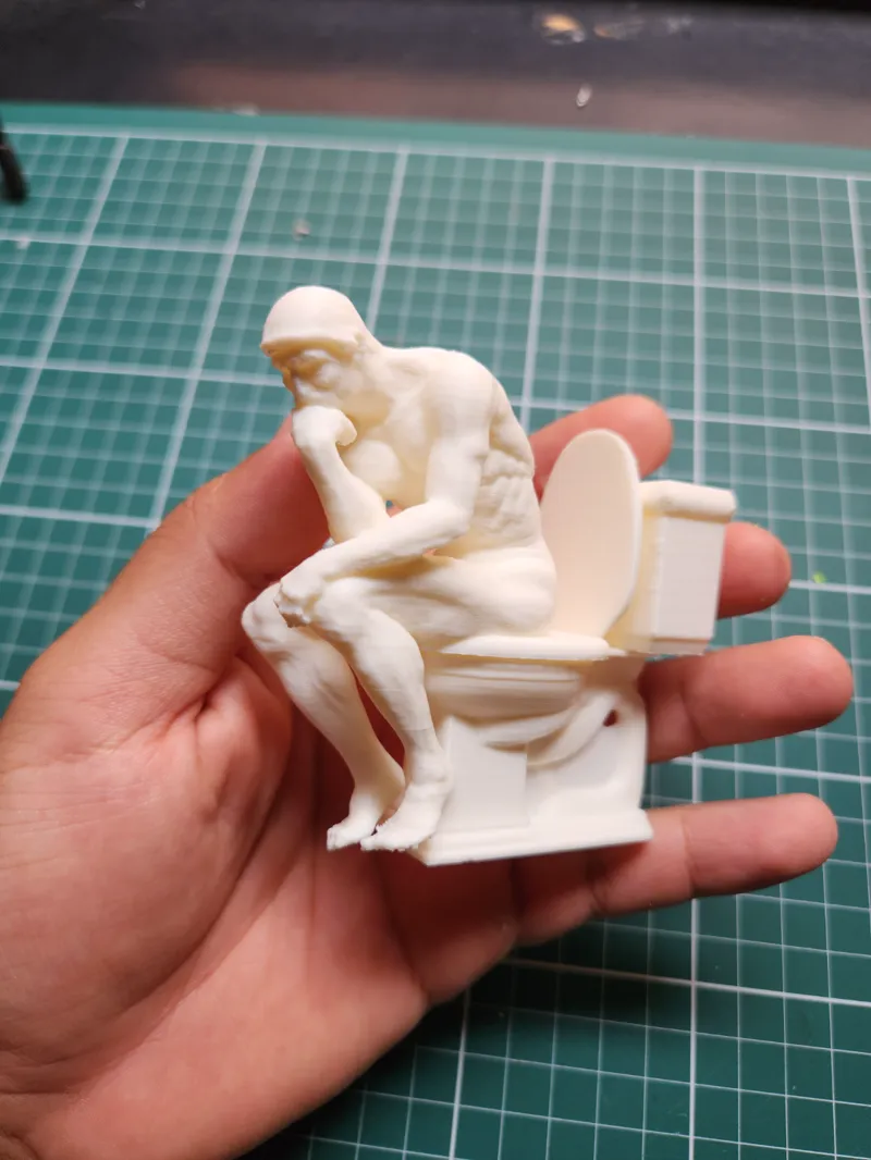 the Thinker on the toilet