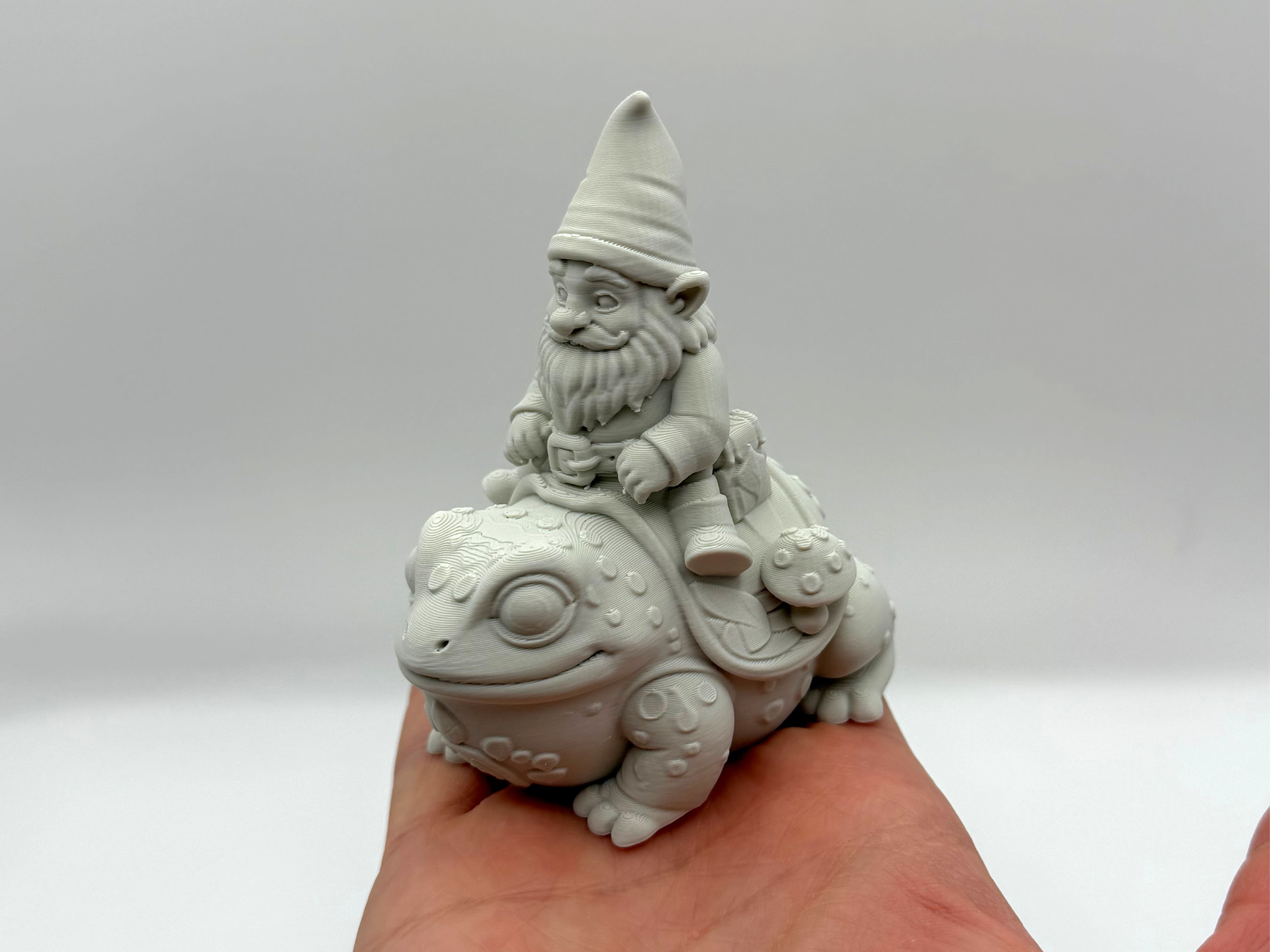 Toadrider Gnome