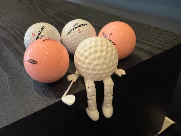 https://makerworld.bblmw.com/makerworld/model/US2f04543be77554/design/2024-12-28_53b6c376ef748.jpg