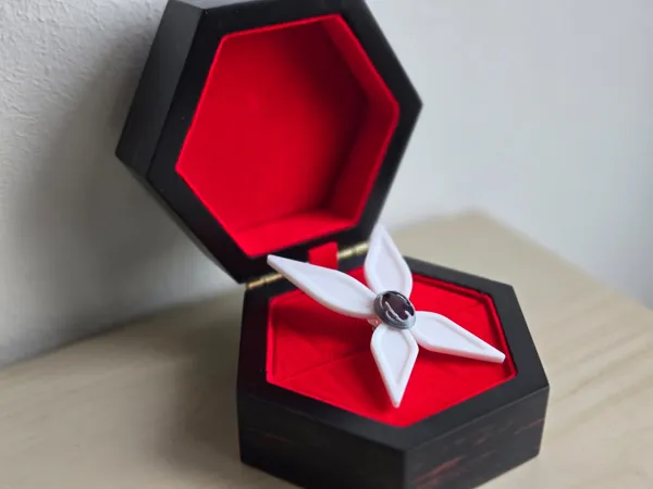 https://makerworld.bblmw.com/makerworld/model/US2f08a5c313edda/design/2025-12-22_85b529e801f91.jpeg