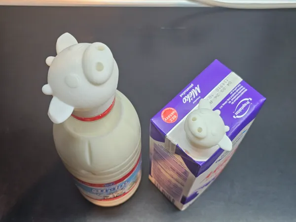 https://makerworld.bblmw.com/makerworld/model/US2f0bafa2a4c201/design/2025-09-27_cec532f56a98b8.jpg