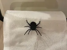 Ambush Spider