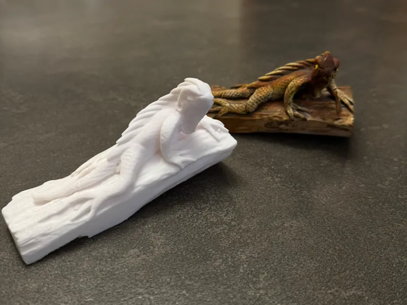 Little Lizard