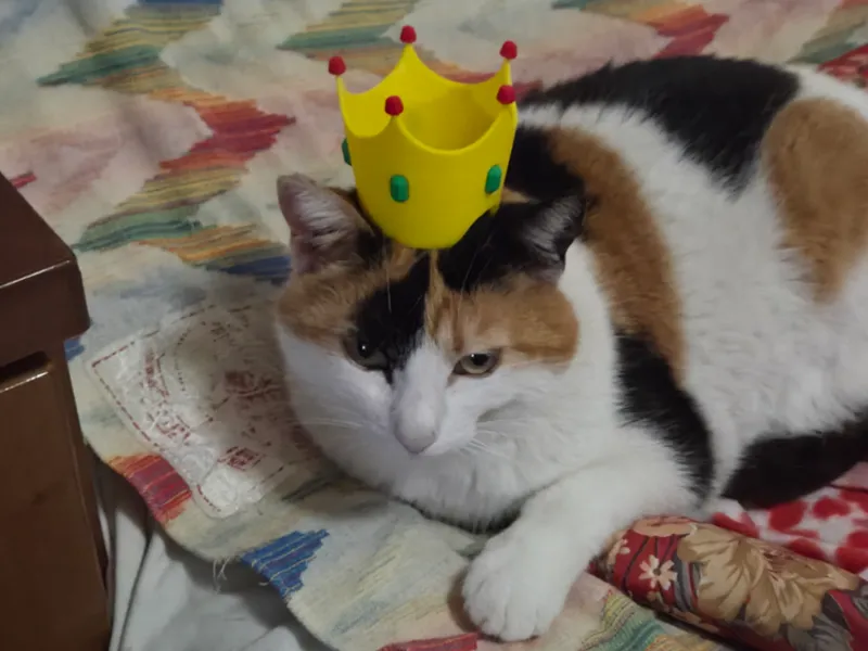 Royal Crown for Pets