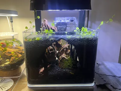 Aquarium cave