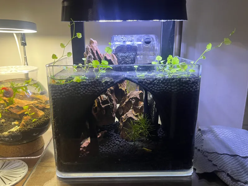 Aquarium cave