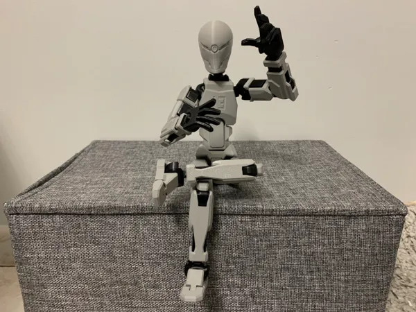 https://makerworld.bblmw.com/makerworld/model/US2f2226cd304cf6/design/2025-03-06_8145028ce4c37.jpeg