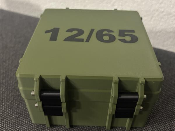 12/65 gauge shotgun ammo (25Pcs)