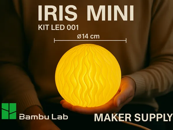 https://makerworld.bblmw.com/makerworld/model/US2f2b982cb2aae/design/2025-10-04_8acb42dda5d49.png