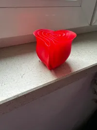Rose de la Saint-Valentin — photo 3
