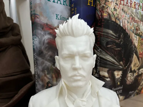 https://makerworld.bblmw.com/makerworld/model/US2f2d7c7dbead24/design/a9b05d1829f77f10.jpeg