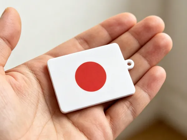 https://makerworld.bblmw.com/makerworld/model/US2f2e226a8b9f01/design/71d16b5fbdab046c.png
