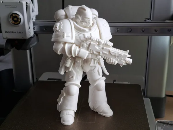 https://makerworld.bblmw.com/makerworld/model/US2f2f69c3577d89/design/4f1cba3254284f00.jpg
