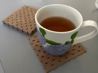 Coaster 0,4 nozzle. 0.2mm layer, 2 walls, 15% infill