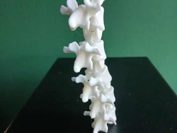 https://makerworld.bblmw.com/makerworld/model/US2f33a22f5bc437/design/2025-11-29_7876dad8bc6a78.jpg