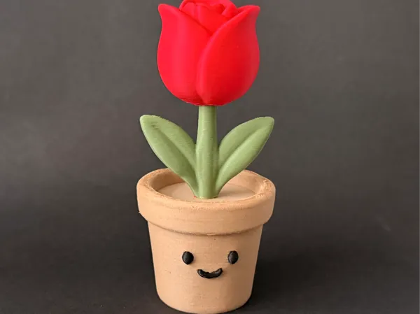 https://makerworld.bblmw.com/makerworld/model/US2f37e540f8887e/design/2025-10-20_e9d175da67a3b8.jpeg