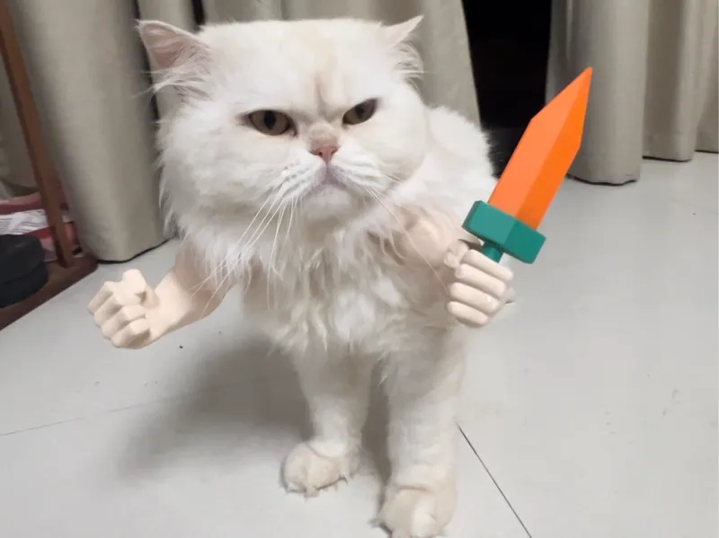 猫咪宠物周边-肌肉手臂配件-萝卜小刀